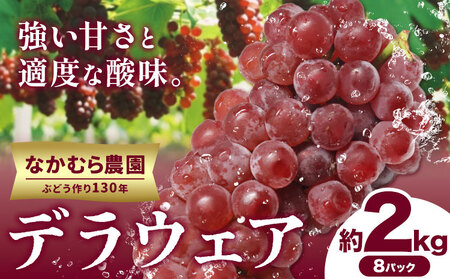 [2025年先行予約]デラウェア 約2kg(8パック) 有限会社なかむら農園[2025年6月上旬-7月下旬頃出荷]大阪府 羽曳野市 たねなし 種無し ぶどう ブドウ 葡萄 送料無料