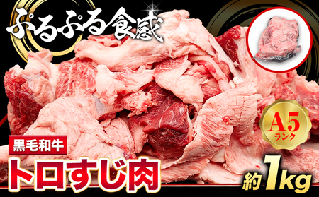 黒毛和牛 トロすじ肉 約1kg 株式会社Demi Enterprise[30日以内に出荷予定(土日祝除く)]大阪府 羽曳野市 送料無料 黒毛和牛トロスジ肉 A5ランク 1kg 黒毛和牛すじ肉 牛肉 牛 和牛 牛すじ肉 牛すじ 煮込み料理 おでん カレー