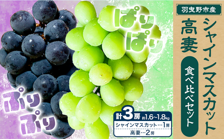 [2025年先行予約]シャインマスカット1房&高妻2房 3房セット 約1.6kg~1.8kg 麻野農園 [2025年8月上旬-9月上旬頃出荷] 大阪府 羽曳野市 ぶどう 果物 フルーツ 葡萄 シャインマスカット 高妻 種なしぶどう