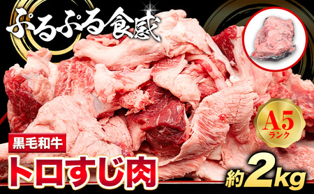 黒毛和牛 トロすじ肉 約2kg 株式会社Demi Enterprise《30日以内に出荷予定(土日祝除く)》大阪府 羽曳野市 送料無料 黒毛和牛トロスジ肉 黒毛和牛A5ランク 黒毛和牛1kg 黒毛和牛すじ肉 牛肉 牛 和牛 牛すじ肉 牛すじ 煮込み料理 おでん カレー