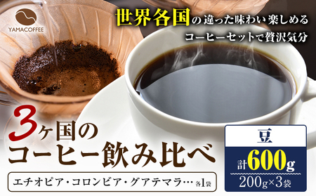 R[q[ 3 ݔ  v600g YAMACOFFEEs30ȓɏoח\(yj)t{ Hgs R[q[  