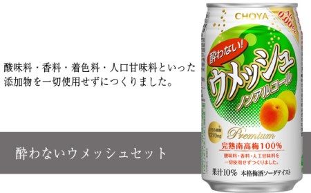 酔わない ウメッシュの返礼品 検索結果 | ふるさと納税サイト「ふるなび」