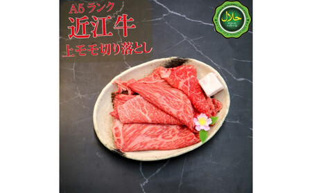 近江牛切り落とし250g[ 近江牛 ハラルビーフ 切り落とし 澤井姫和牛 ]