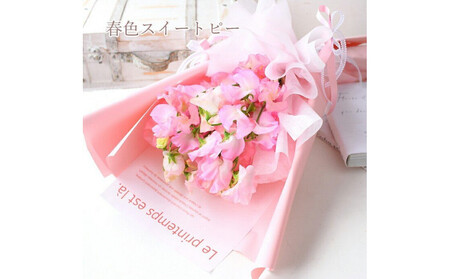 春色スイートピー 春のお花 スイートピー ピンク系 花束 門出 誕生日 結婚 ウエディング ギフト お祝い プレゼント 花 フラワー 送別会 退職祝い 結婚記念日 送別 香り 春の花