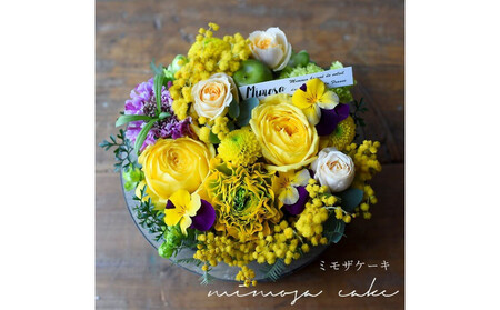 季節限定ガトーシャルマント「ミモザケーキ」 期間限定ミモザケーキ アレンジ サプライズ 誕生日 成人式 卒業祝い 初節句 ひな祭り バレンタイン お返し 「ガトーシャルマント」プレゼント フラワー アレンジ 送料無料 BOX入り 生花 フラワー ギフト 記念日 結婚 マカロン