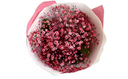 チェリーかすみの花束 かすみ草 カスミソウ 花束 花 誕生日 成人式 卒業祝い 初節句 ひな祭り バレンタイン お返し 結婚 ウエディング 送別 祝い プレゼント 結婚祝い お礼 赤い草 チェリー レッド 生花ドライフラワーにも 送料無料 お母さん 記念日