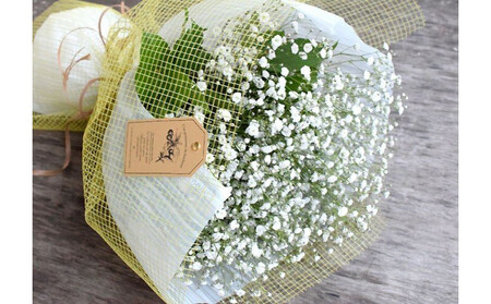 かすみそうの花束 かすみ草 カスミソウ 花束(小さいサイズ) 花 誕生日 成人式 卒業祝い 初節句 ひな祭り バレンタイン お返し 結婚 ウエディング 送別 祝い プレゼント ギフト 結婚祝い お礼 生花 ドライフラワーにも 送料無料 退職 お母さん 記念日