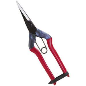 [芽切鋏]◇近正のハサミ T-550_雑貨 雑貨・日用品 アウトドア用品 スポーツ・アウトドア用品 _