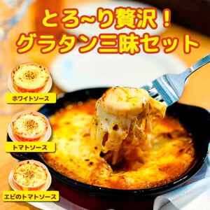 レンジで簡単!濃厚とろける 3種の贅沢グラタン(ホワイトソース・トマトソース・エビのトマトソース) _惣菜・加工品 _[配送不可地域:離島]