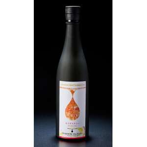 JAPANESE CRAFT KOMBUCHA C{XeB[_EhN  W[X _y1588587z