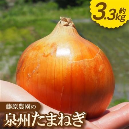 《約3.3kg》藤原農園の泉州たまねぎ　なにわの伝統野菜　サイズ混合【1635893】