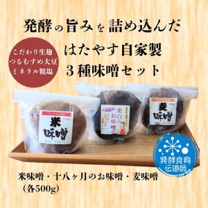 yH`t̎O̖XZbgyzsnFzy1677616z