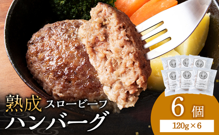 放牧牛 スロービーフ ハンバーグ 120g 6個(計720g) 杉山牧場