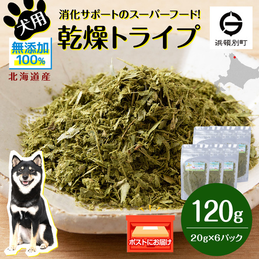 犬 おやつ 無添加 国産 乾燥グリーントライプ 120g (20g×6)
