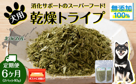 犬 おやつ 鹿肉 無添加 国産 乾燥グリーントライプ 40g (20g×2) 定期便6回