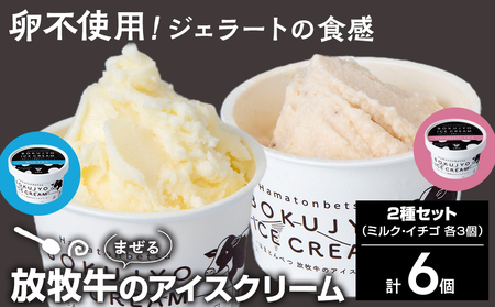 放牧牛 アイスクリーム 2種(ミルク・イチゴ 各3個)計6個 [池田牧場] アイス スイーツ デザート 冷凍 卵不使用 北海道ふるさと納税