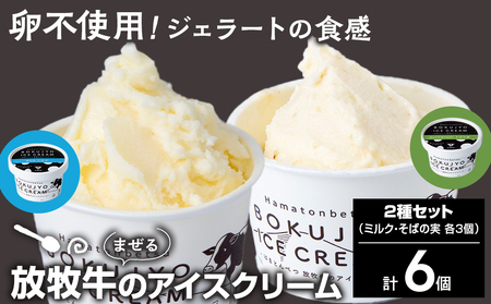放牧牛 アイスクリーム2種(ミルク・そばの実 各3個)計6個 [池田牧場] アイス スイーツ デザート 冷凍 卵不使用 北海道ふるさと納税