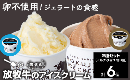 放牧牛 アイスクリーム2種(ミルク・チョコ 各3個)計6個 [池田牧場] アイス スイーツ デザート 冷凍 卵不使用 北海道ふるさと納税