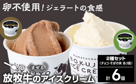 放牧牛 アイスクリーム2種(チョコ・そばの実 各3個)計6個 [池田牧場] アイス スイーツ デザート 冷凍 卵不使用 北海道ふるさと納税