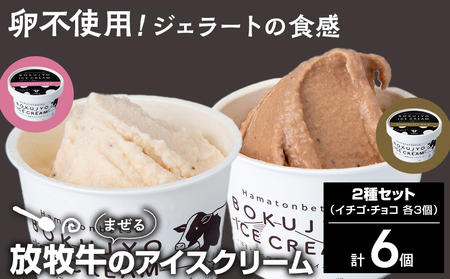 放牧牛 アイスクリーム2種(イチゴ・チョコ 各3個)計6個 [池田牧場] アイス スイーツ デザート 冷凍 卵不使用 北海道ふるさと納税