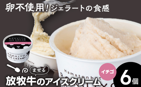 アイスクリーム 6個(イチゴ) [池田牧場]