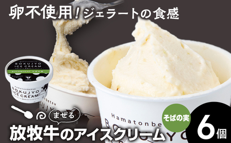 アイスクリーム 6個(そばの実) [池田牧場]