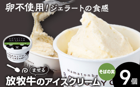 ACXN[ 9i΂̎j yrcqz