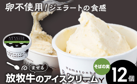 ACXN[ 12i΂̎j yrcqz