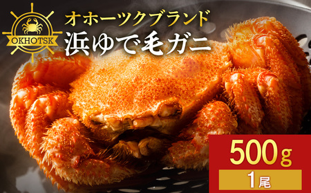 ☆北海道産 毛ガニ 約500g×1尾