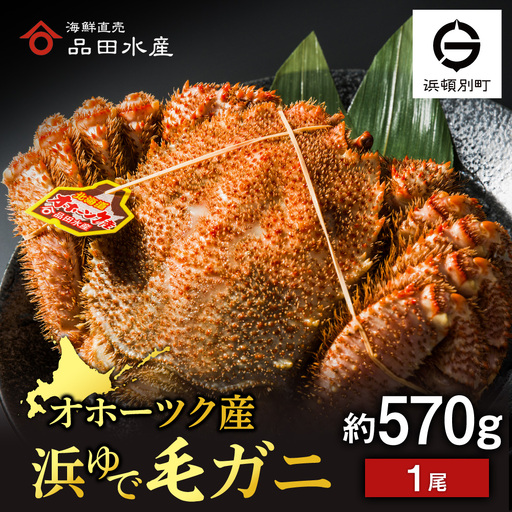 ⭐️1時間のみ使用の美品⭐️購入金額13,200円⭐️ 24Ｈ発送⭐️オムニ⭐️2026⭐️ ボイル毛ガニ 570g 1尾| ふるさと納税はじめるバイブル