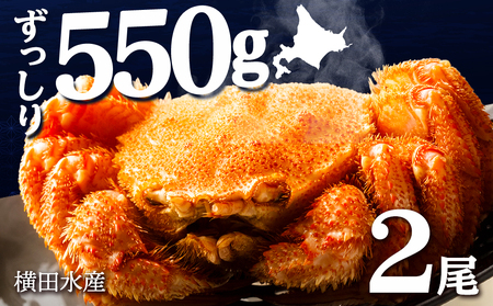 ☆北海道産 毛ガニ 約550g×2尾 セット かに 蟹 毛蟹 冷凍 北海道産 浜頓別町 北海道ふるさと納税