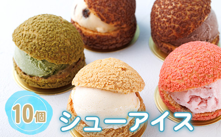 No.244 シューアイス　10個セット