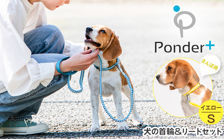 No.461-01 犬の首輪&リードセット さんぽ用 ポンダープラスイエロー S / ペット用品 犬用品 ペットグッズ 散歩グッズ ワンタッチ 着脱簡単 ロック付き 高耐久 おしゃれ 丈夫 カラフル ハンドメイド 手作り 手編み パラコード 革 レザー 大阪府