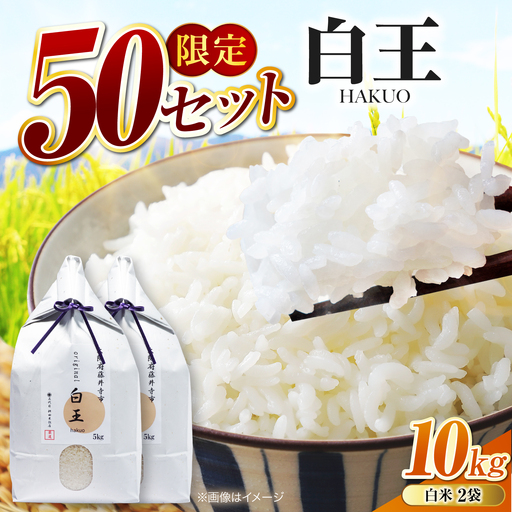 お米 白王(HAKUO) 10kg(5kg×2個) お米