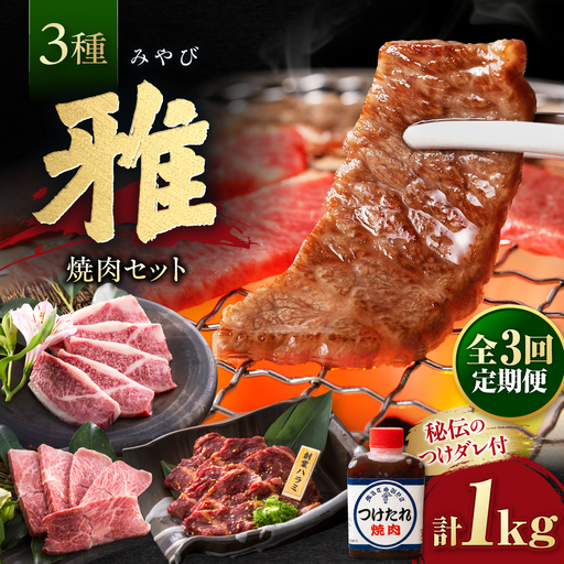 [全3回定期便]焼肉セット 雅 1kg / 肉 牛肉 牛 焼肉 焼き肉 やきにく BBQ バーベキュー キャンプ アウトドア 鉄板焼き セット 詰め合わせ 食べ比べ 国産 冷凍 小分け ハラミ カルビ バラ バラ肉 上カルビ 1kg 味付き タレ 簡単調理 ギフト / 大阪府藤井寺市/株式会社 松屋[BLCD008]