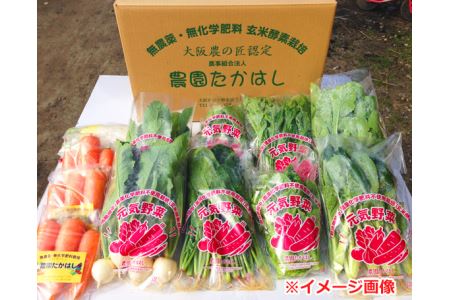 No.024 こだわり農家の採れたて無農薬野菜セット