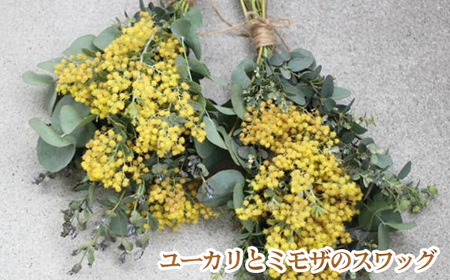 No.180 毎年人気！春を運んでくるユーカリとミモザのスワッグ