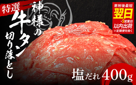 y Xs[h zI_l̋^؂藎Ƃ@400gi2pj / Hה  󂠂 Xs[hz ̐_l