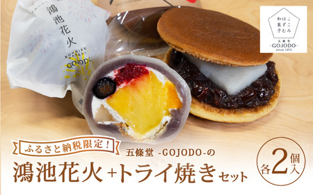 多数のメディアで紹介されました★ [ふるさと納税限定]五條堂(GOJODO)の鴻池花火2個入り+トライ焼き2個入りセット
