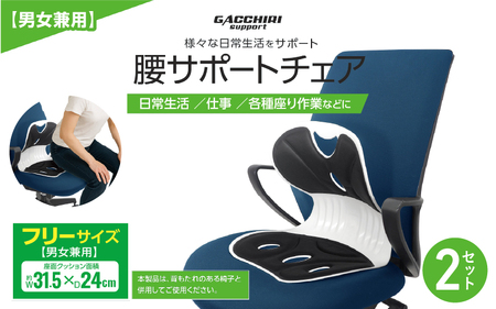 腰サポートチェア 2個セット