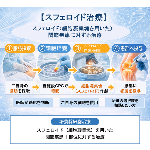 [培養幹細胞治療]スフェロイド(細胞凝集塊)を用いた関節疾患1部位に対する治療(※本返礼品は、院長診察にて本治療が適応と診断された方のみご利用いただけます。)