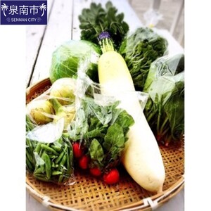 直売所の泉州産旬野菜セット 80サイズ箱[015E-007]