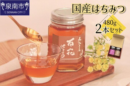 国産はちみつ480g 2本セット【配送不可地域：北海道・沖縄・離島】【090D-002】