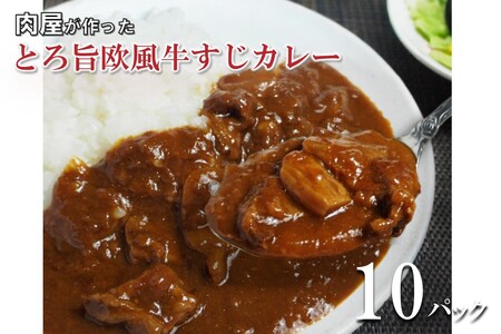 とろ旨欧風牛すじカレー（200g×10パック）【069D-012】
