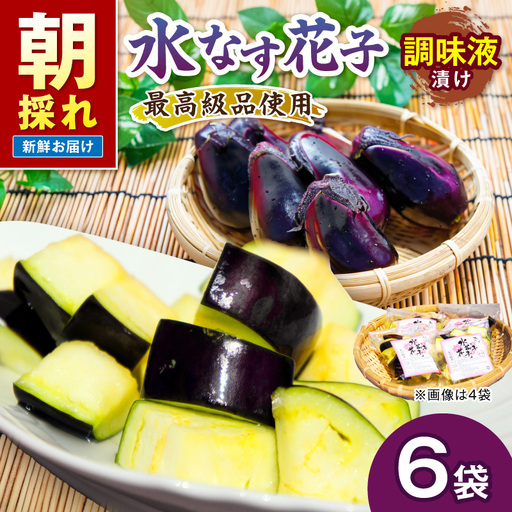 泉南銘産 水なす調味液漬け 水なす花子 6袋[042D-015]