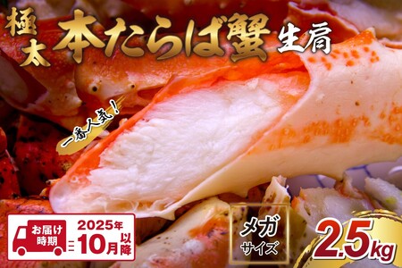 y12.5kg̒ɑ10LȏチKTCYz{ΊI  2.5kgy2025N10ȍ~̔zy087B-030z