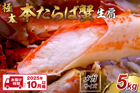 y25kg̒ɑ10LȏチKTCYz{ΊI  5kgy2025N10ȍ~̔zy087A-003z