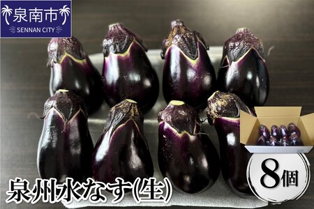 泉州水なす(生)8個入り[配送不可地域:北海道・沖縄・離島][114E-001]