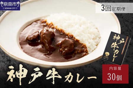 神戸牛カレー200g×30個セット 3ヶ月定期便[108A-006]