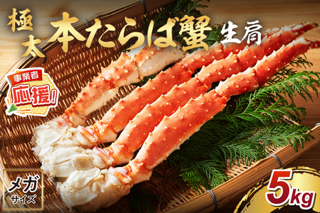 [2肩約5kgの超極太10L以上メガサイズ]一番人気! 本たらば蟹 生肩 約5kg[ふるさと納税3.0][087A-005]